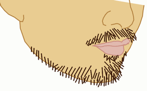 図3