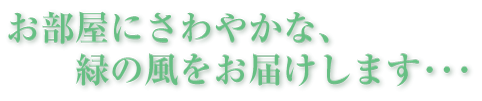 松野フラワー鉢物・観葉植物タイトル　～お部屋にさわやかな緑の風をお届けします～