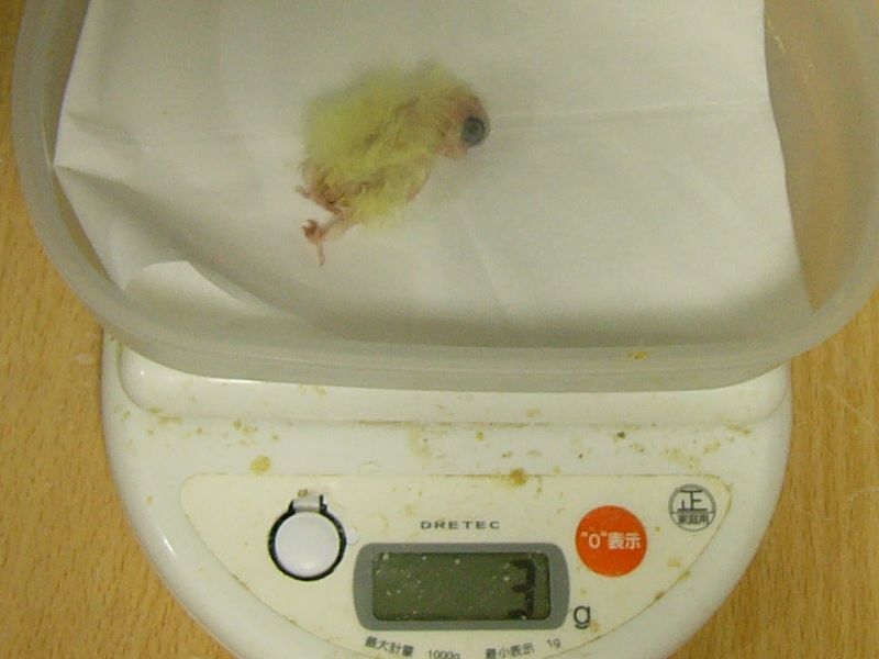 �����2��
