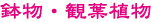 鉢物・観葉植物タイトル