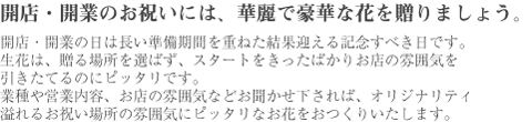 松野フラワー祝花タイトル　～開店・開業のお祝いには、華麗で豪華な花を贈りましょう～