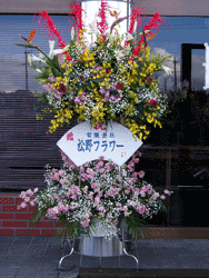 松野フラワー祝花　～外用～