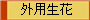 外用生花