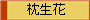 枕生花
